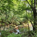 가평로제펜션 이미지