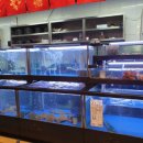 수산대첩 이미지