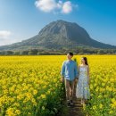 성읍리-24 | 제주도 3월 4월 유채꽃 개화시기 +유채꽃 명소 추천｜성산·가파도 인생샷 코스