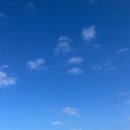 제주낙산로181