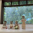 푸라닭울산옥동점 | 울산 브라이덜샤워/100일/돌 베이비촬영 셀프스튜디오 추천 스몰먼트 💐