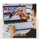 리파이 | 가성비 게이밍 키보드 추천 체리 엑스트리파이 K37 후기