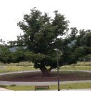 여울공원 이미지