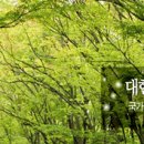 한국야생동식물보호관리협회 - 각 분야 신입 및 경력 채용 이미지