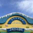 연세경기태권도장 | 나아지지 않는 날 데리고 산다는 건