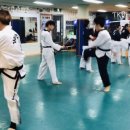 동대태권도 이미지