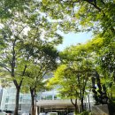 서울 송파 일요일 자유수영 곰두리수영장 후기, 운영시간