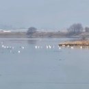 동읍1168 이미지