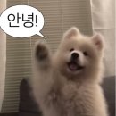 국가 자격증 메이크업 실기 시험 후기/ 꿀팁 대방출💨