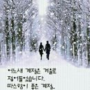 일렁이는 이미지