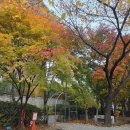 GS25 금오주공점 | 용인 수지 신혼부부 임장 일기-수지구청역 신정마을 주공 9단지 솔직 후기