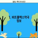 비트플렉스약국 티스토리