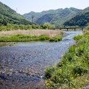 대아수퍼 이미지