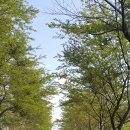 성림약수터 | [山行] 부산 승학산