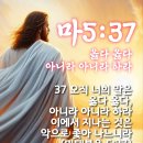 오늘도기쁨24