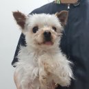 가석파출소 이미지