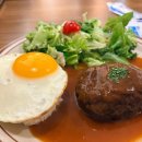 815카플러스 이미지