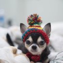 기다리다 이미지