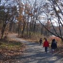 운주산 등산로 이미지