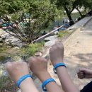 반딧불이생태공원 화장실 이미지