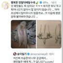 페럿에 관한 흥미로운 사실 이미지