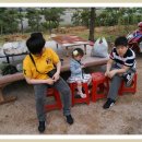 분남농장 이미지