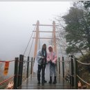 한라산1박2일 숙소추천, 비용, 등반 총정리ㅣ초보자실제후기