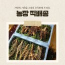 새만금약초 네이버블로그