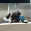 휴양림3170 이미지