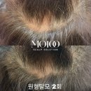 이플뷰티 이미지