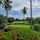 명품 골프연습장 | 🏌️‍♂️ 라오스 골프에 미치다 | 숨은 명품 코스, 비엔티안 레이크뷰CC 완벽 가이드 🇱🇦