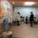 성신유치원 이미지