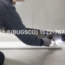 벅스코 이미지