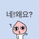 삼한당약국 | [11월의 쿠웨이트] 2