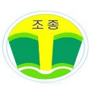 조종초등학교
