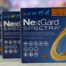 알렉스약국 이미지