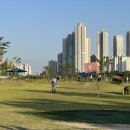 파워파크장 | 국산 파크골프채 가방 풀셋트 장만하고 초보자 딱지 떼다