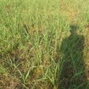 연신농장 이미지