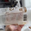 선양 오크 소주 시음 후기 맛과 특징 솔직 리뷰