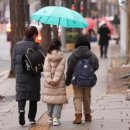 '초등학교 보직교사 제도 개선 방안 연구' 이미지