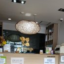 월성한의원 | 울산 한의원 추천: 인테리어부터 힐링되는 월성한의원 방문기