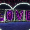 빛(꽃)의정원 이미지