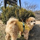 포유동물병원 이미지