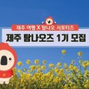 탐나민박