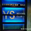 YS복싱클럽 네이버블로그