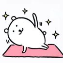일상 | 새해 첫날의 시작은 요가