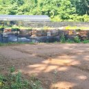 중로 1-42호선 이미지