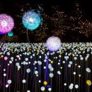 별빛정원 이미지