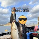 후크선장과 바다낚시 | 서귀포 배낚시 체험배낚시 광명호 후기
