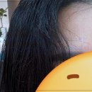 기분좋은헤어 | 야당미용실 시호헤어에서 받은 기분 좋은 변신 후기!